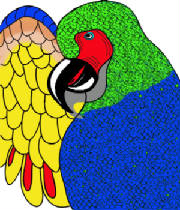 parrot.jpg