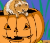 hamster.jpg